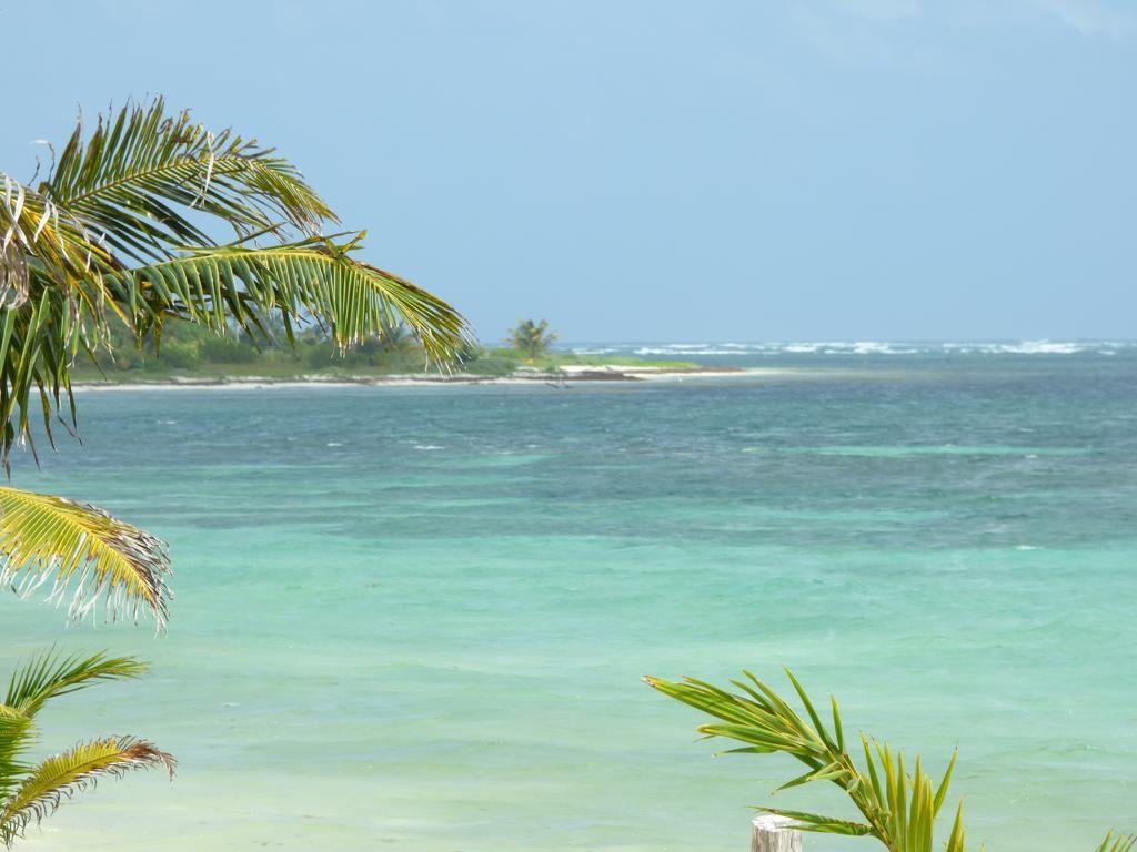 Mayan Beach Garden El Placer Luaran gambar