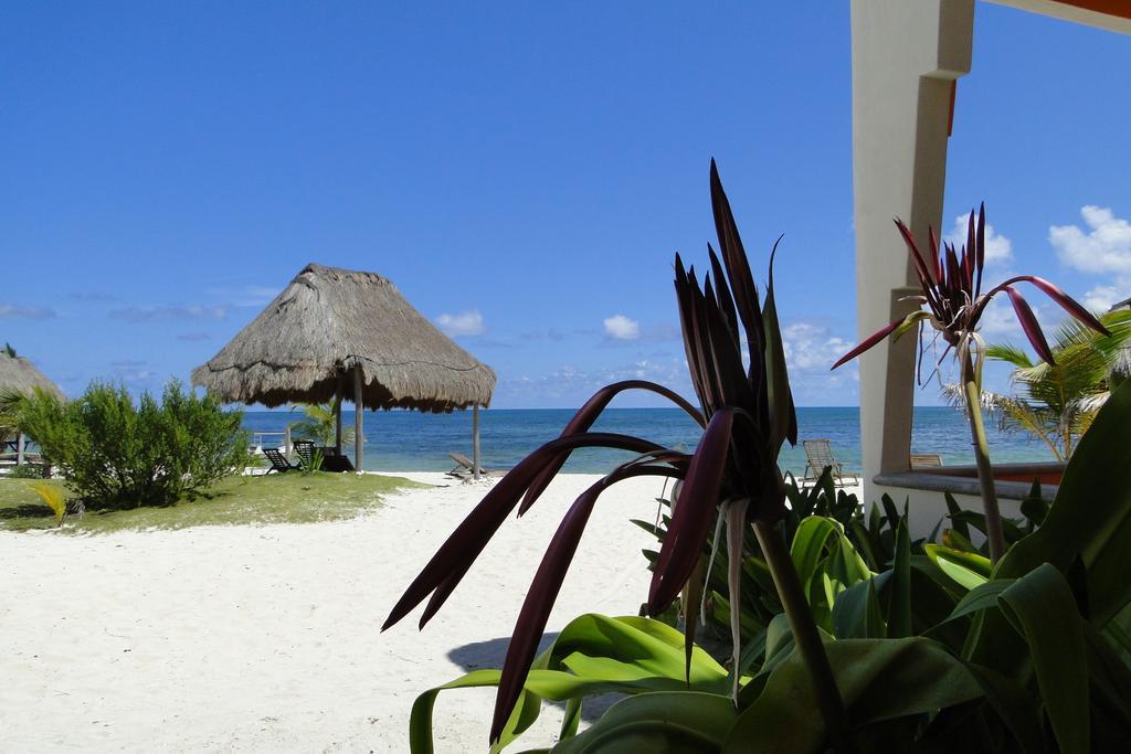 Mayan Beach Garden El Placer Luaran gambar