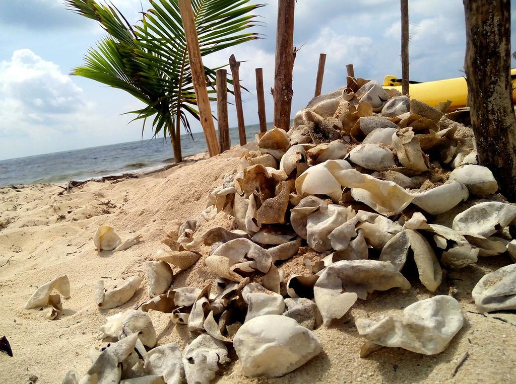 Mayan Beach Garden El Placer Luaran gambar